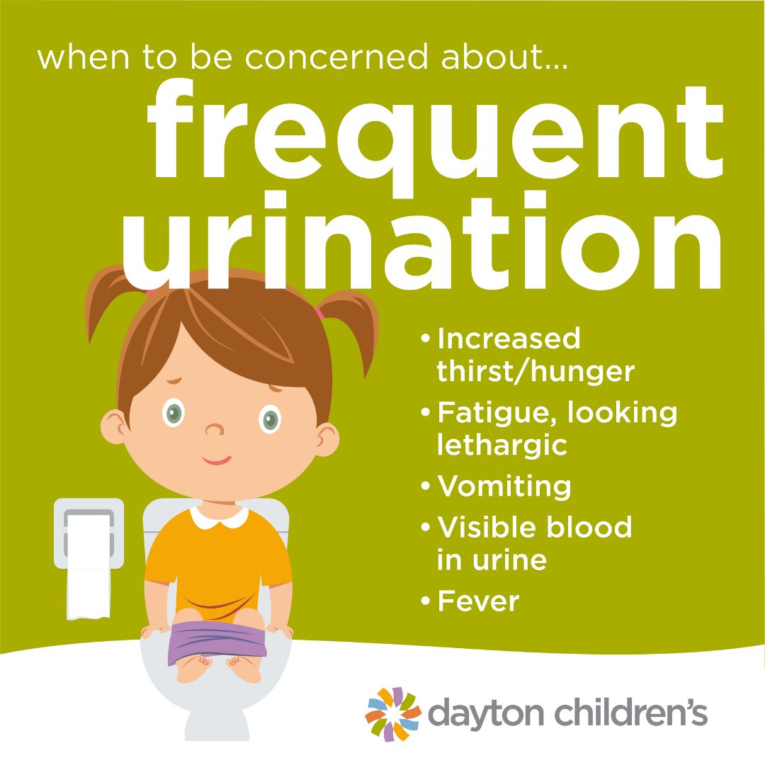 when to be concerned about frequent urination Dayton Childrens Hospital pic