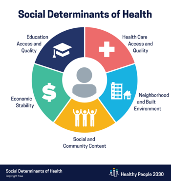 a pie chart describing the social determinants of health