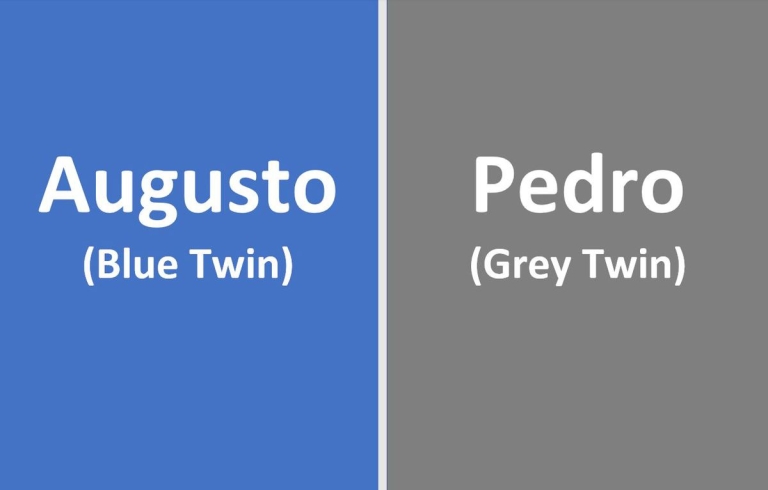 conjoined twin surgery planning graphic showing blue and grey twin teams