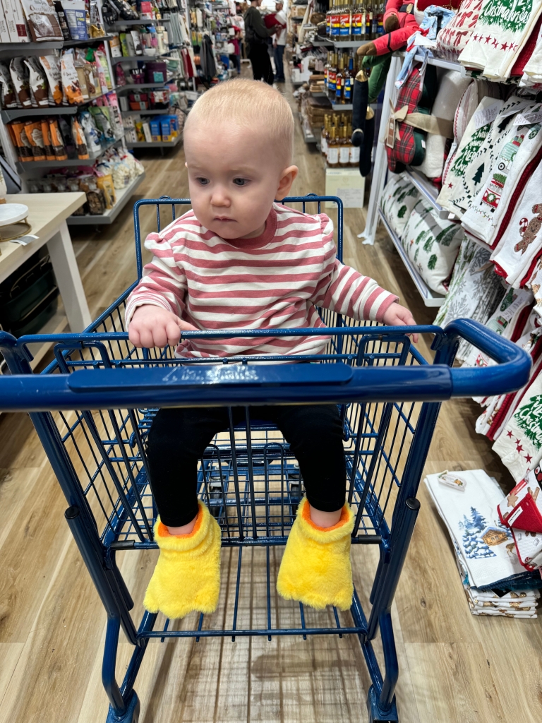 Paisley's duck slippers